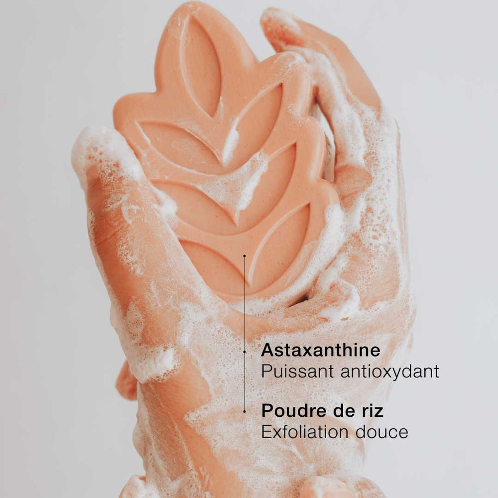 Body Exfoliator