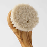 Brosse exfoliante visage