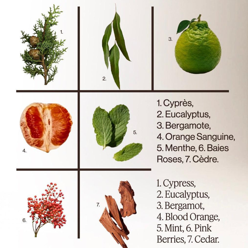 CYPRÈS + EUCALYPTUS – Gel lavant mains et corps
