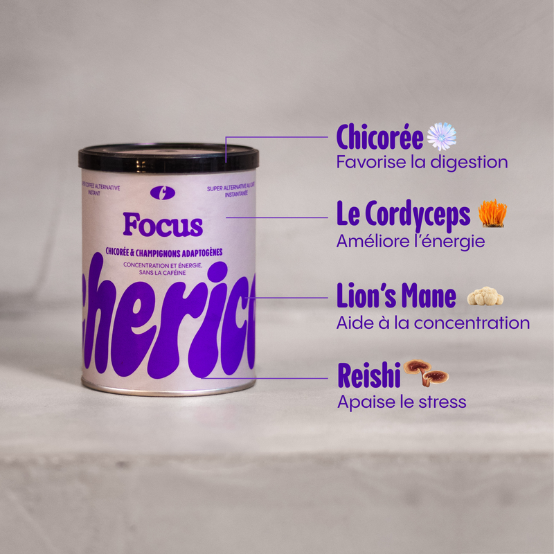 Chicorée & Champignons adaptogènes – FOCUS (Concentration & Énergie)