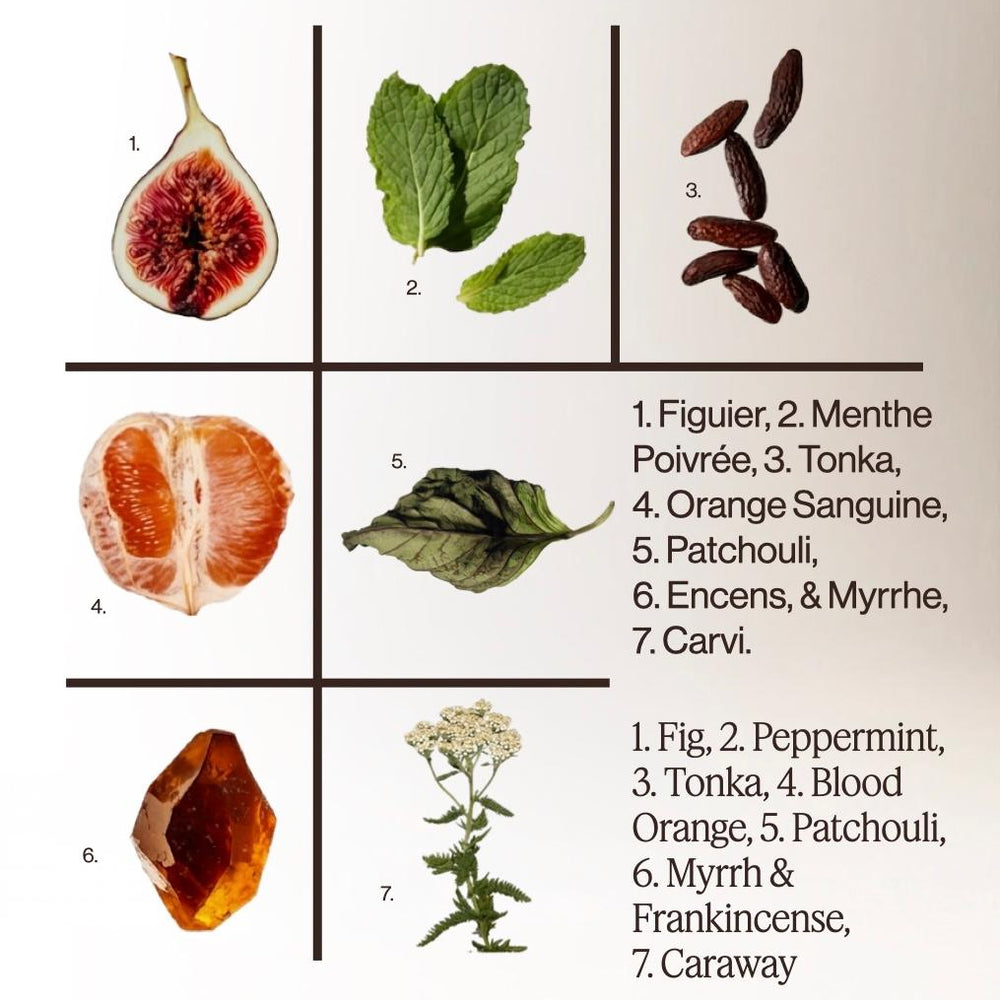FIGUIER + MENTHE POIVRÉE – Gel lavant mains et corps