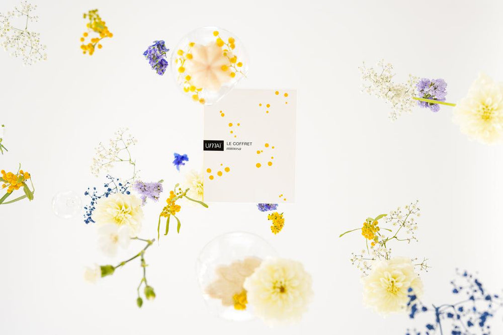 Indisponible - Le Coffret Mimosa
