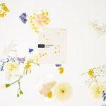 Indisponible - Le Coffret Mimosa