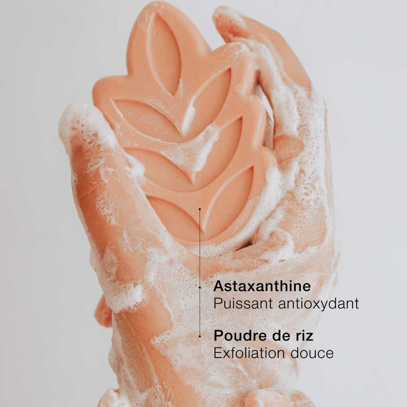 L’Exfoliant Corps