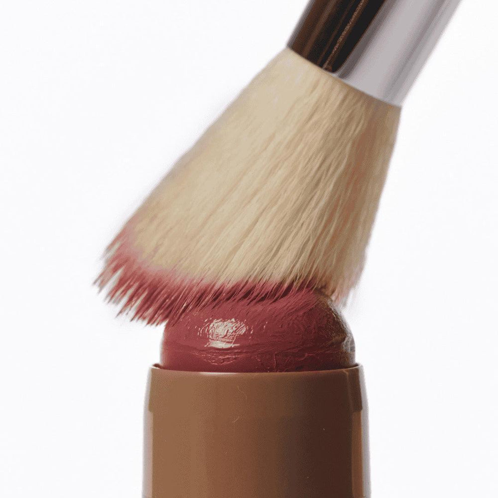 Le Pinceau Blush