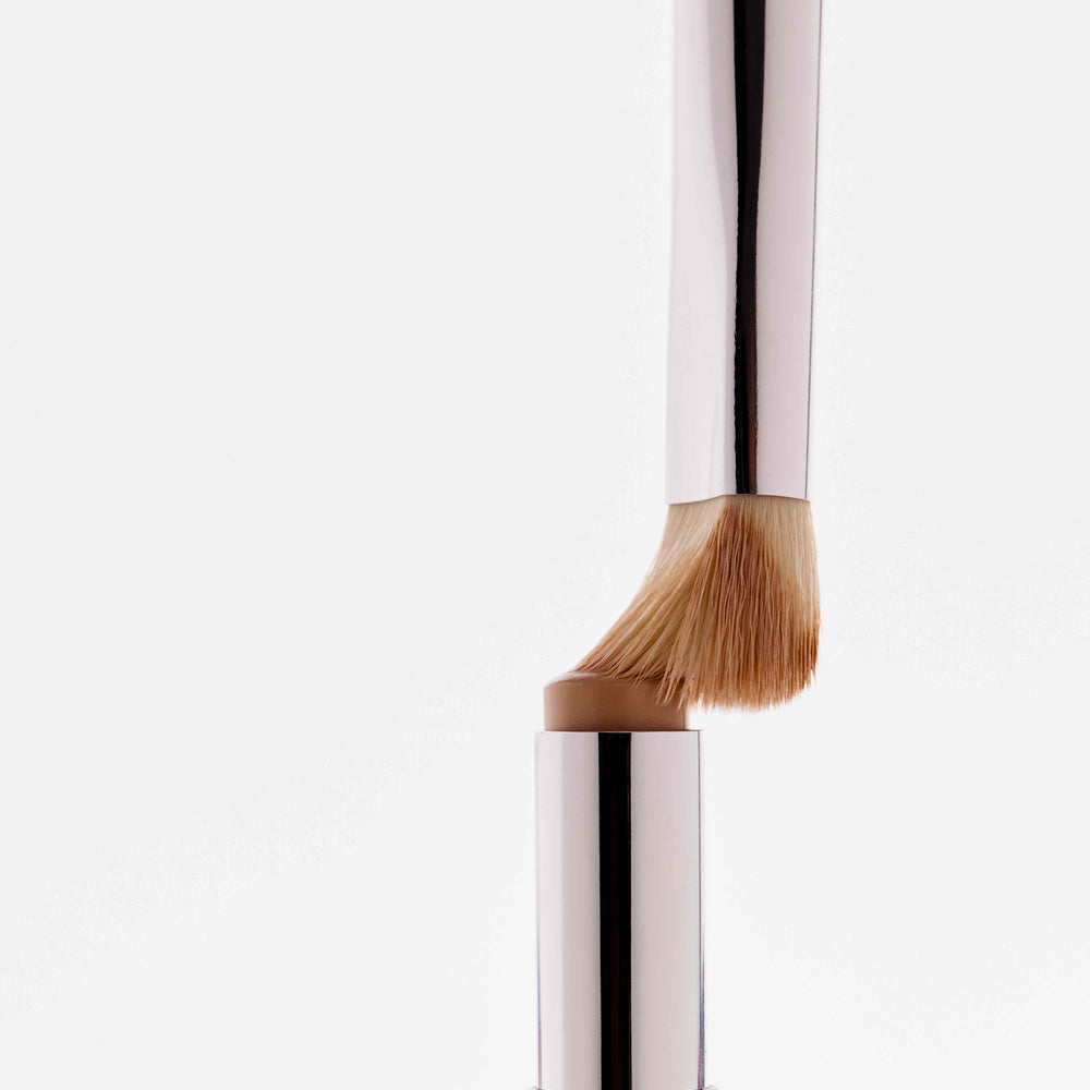 Le Pinceau Correcteur