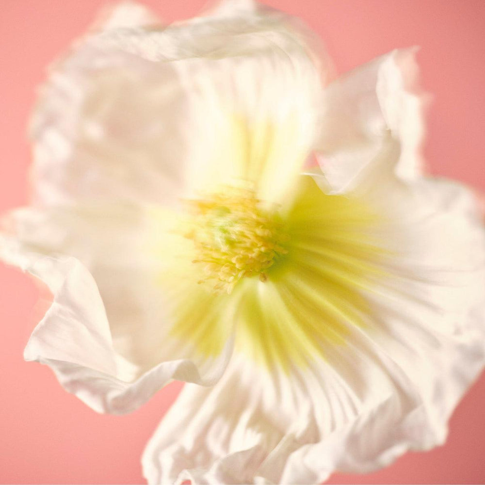 MIDSOMMER Eau de parfum naturelle
