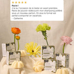 Shampoing collection – Parfum Rhubarbe & Sésame