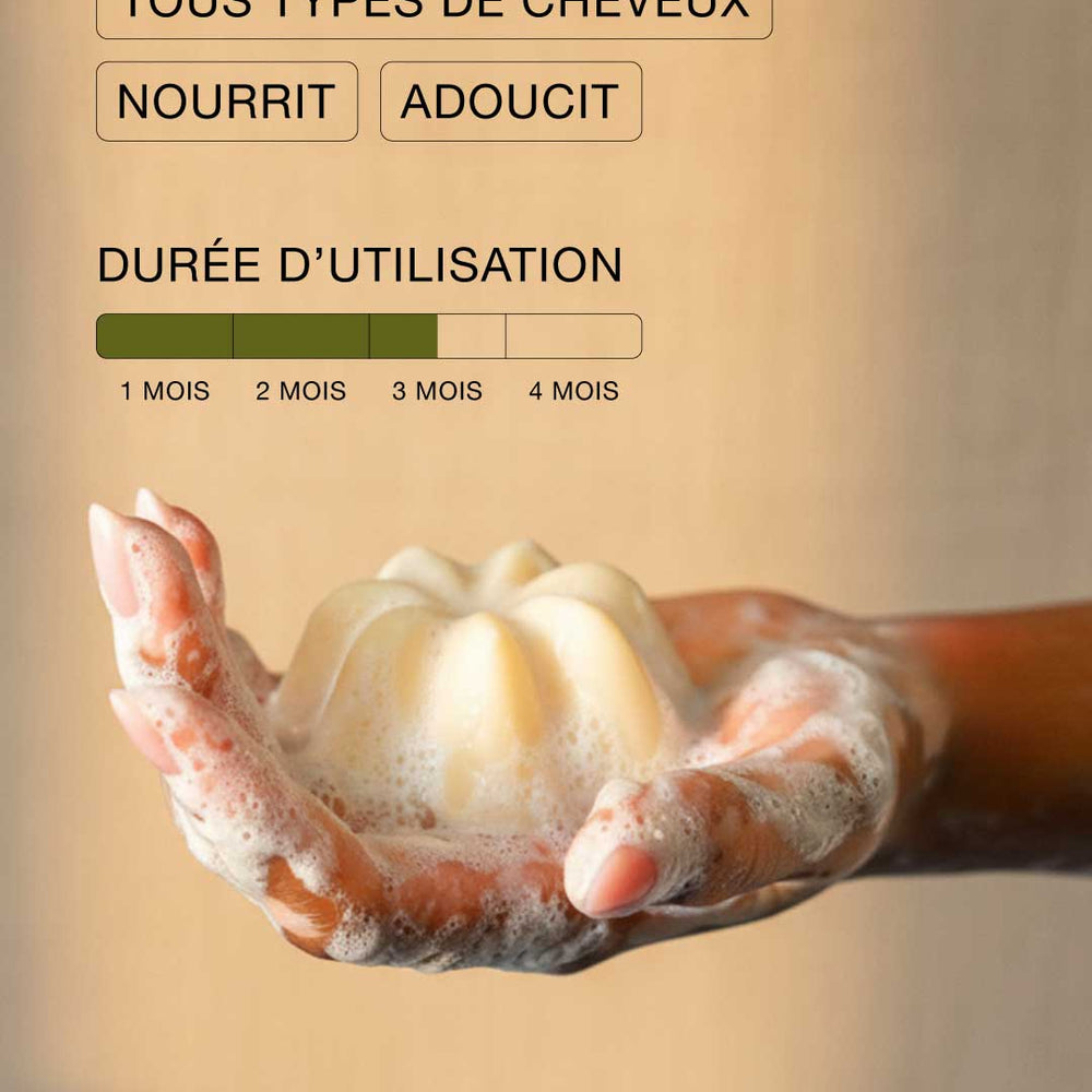 Shampoing collection – Parfum Rhubarbe & Sésame