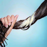Vegan Repair Shampoing Réparateur