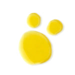 Sérum Bio-Retinol + C Booster